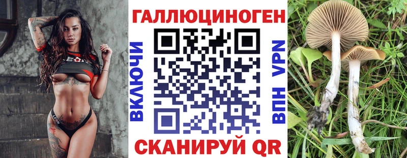 где купить наркоту  Геленджик  Галлюциногенные грибы ЛСД 