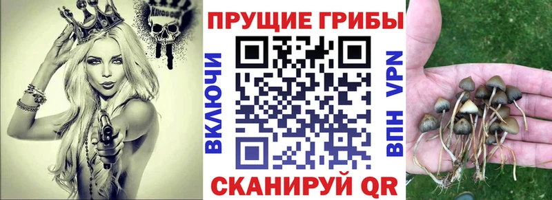 Галлюциногенные грибы прущие грибы Геленджик